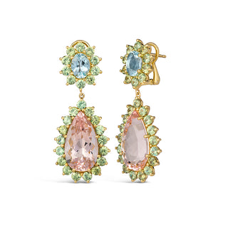 Gardenia Teardrop Embellished Stone Earrings